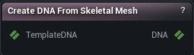 Create DNA From Skeletal Mesh node