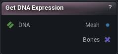 Get DNA Expression node