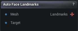 Auto Face Landmarks node