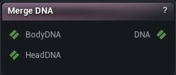 Merge DNA node