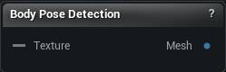 Body Pose Detection node