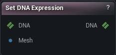Set DNA Expression node