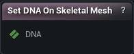 Set DNA On Skeletal Mesh node
